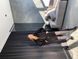Hoodie insulated ASH black, XS